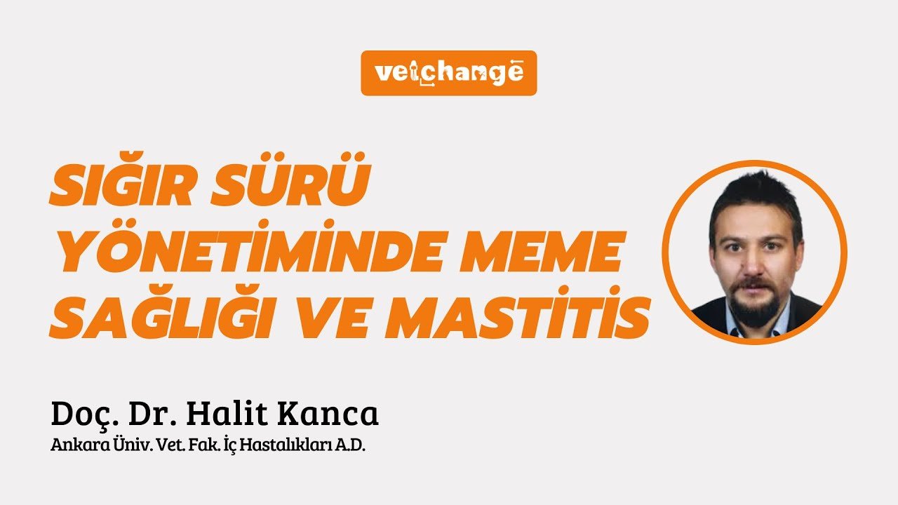Sığır Sürü Yönetiminde Meme Sağlığı Ve Mastitis - Doç. Dr. Halit Kanca